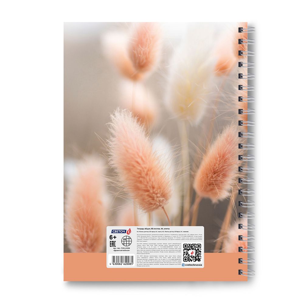 Тетрадь ученическая общая, A4 80 л. на гребне 65 г/м², белизна 100 %, 4 шт, клетка, 01228 Душистый колосок, Светоч Т125
