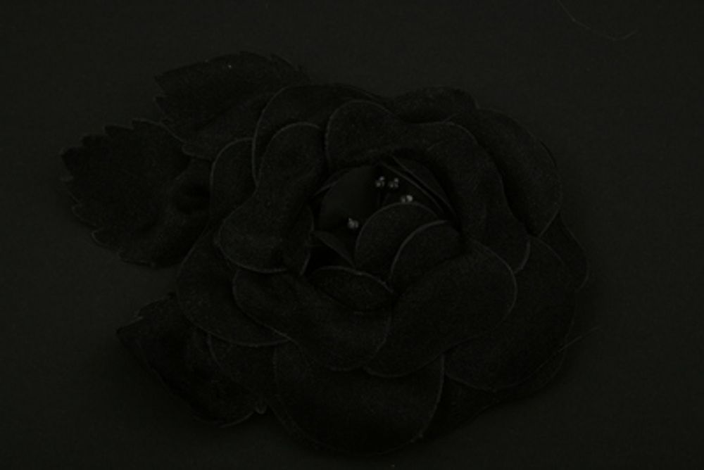 Шиповник, №073 черный, Blitz 3052