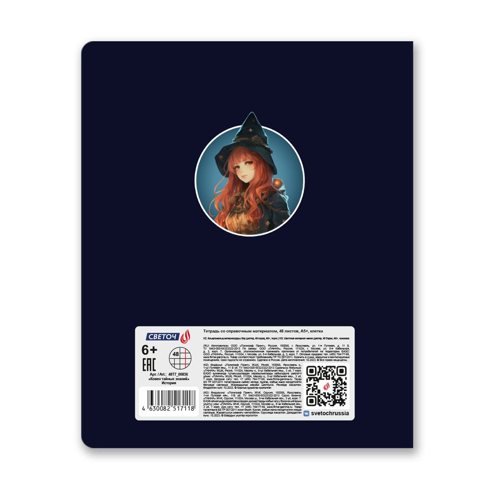 Тетрадь со справочным материалом Ковен тайных знаний, A5+ 48 л. на скобе 65 г/м², белизна 100%, 10 шт, клетка, 00856 История, Светоч 48Т7