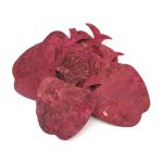 Декоративные элементы из коры дерева "Яблоко", 7см, 8 шт, красный