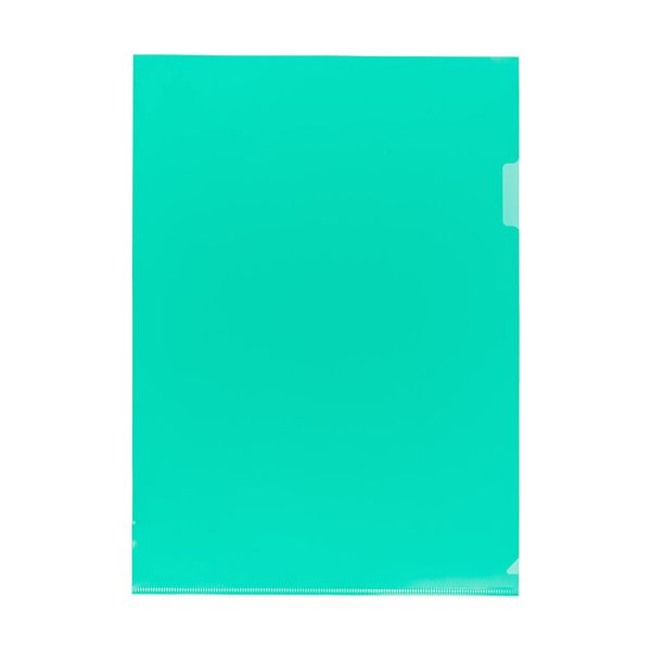 Папка-уголок A4 120 мкм песок, 20 шт, зеленый 2202093, Expert Complete 2202093