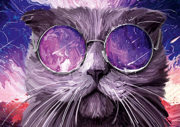 Пазл 2000 элементов, Космо-кот, PZL-2000/21, Фрея