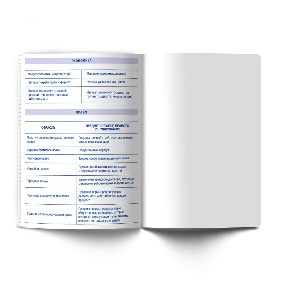 Тетрадь со справ.материал. Архивариус пластик.обл. 320мкм с тис.золот.фольгой. A5 48 л. на скобе 65 г/м², белизна 100% 10 шт, клетка, 01880 Архивариус Обществознание, Светоч Т290