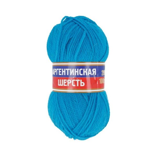 Пряжа Камтекс Аргентинская шерсть / уп.10 мот. по 100 г, 200 м, цв.024 бирюза