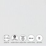 Холст грунтованный на подрамнике 60х60 см, 390 г/м², 2 шт, Залесский среднезернистый, Vista-Artista PLMG-6060