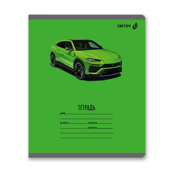 Тетрадь ученическая школьная, выборочный лак, A5 18 л. на скобе 65 г/м², белизна 100% 20 шт линия, 01454 Дрифт, Светоч Т185
