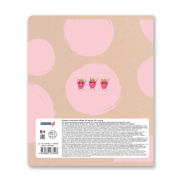 Тетрадь ученическая общая, A5+ 48 л. на скобе, белизна 100%, 10 шт, клетка, 000328 Друзья навсегда, Светоч 48ТСК5_3_1