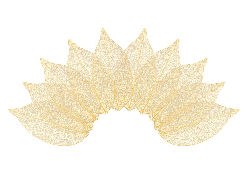 Листья скелетированные 2-6 см, 50 шт (5х10 шт), 06 оранжевый, Mr.Painter SFL-01