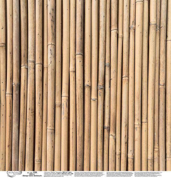 Бумага для скрапбукинга Вокруг меня. Бежевый 190 г/м², 30.5х30.5 см, 10 шт, 2, Mr.Painter PSR 2605