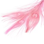 Перо павлина декоративное 25-30см, 10 штук (розовый), AR204-2