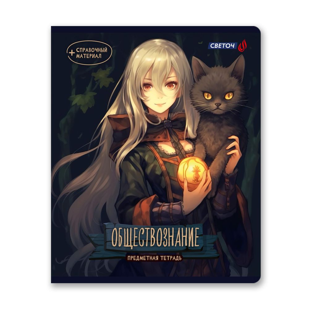 Тетрадь со справочным материалом Ковен тайных знаний, A5+ 48 л. на скобе 65 г/м², белизна 100%, 10 шт, клетка, 00862 Обществознание, Светоч 48Т7