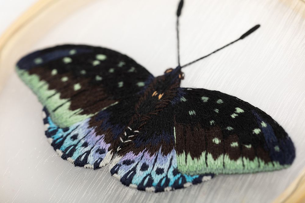 Набор для вышивания нитками Panna, Живая картина. Бабочка. Эрцгерцог, 13х13 см
