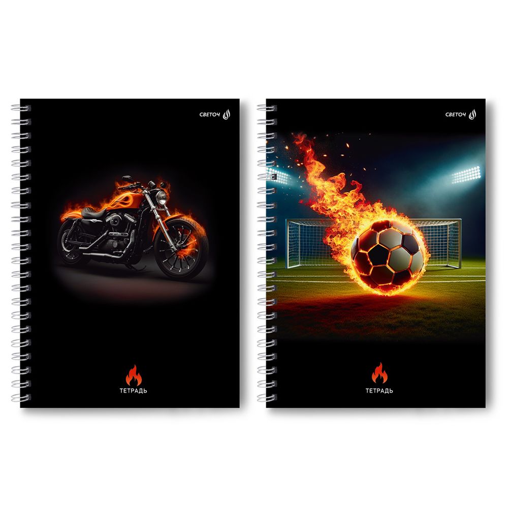 Тетрадь ученическая общая, A4 80 л. на гребне 65 г/м², белизна 100 %, 4 шт, клетка, 01229 Формула движения, Светоч Т125