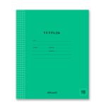 Тетрадь ученическая школьная Классная A5+ 18 л. на скобе, белизна 100%, 20 шт, клетка, 000300 Зеленая, Светоч 18ТСК5_1_3_1