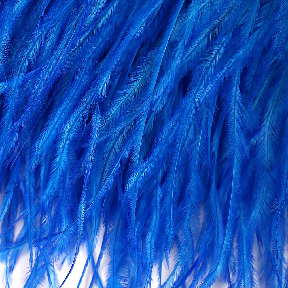 Перья на ленте Страус 15 см, FBY-15-087, цв. синий неон, 2м