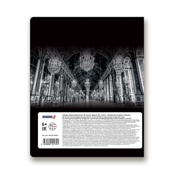 Тетрадь предметная Загадочная история A5+ 48 л. на скобе, белизна 100%, 10 шт, клетка, 48ТСК5/000188 История, Светоч