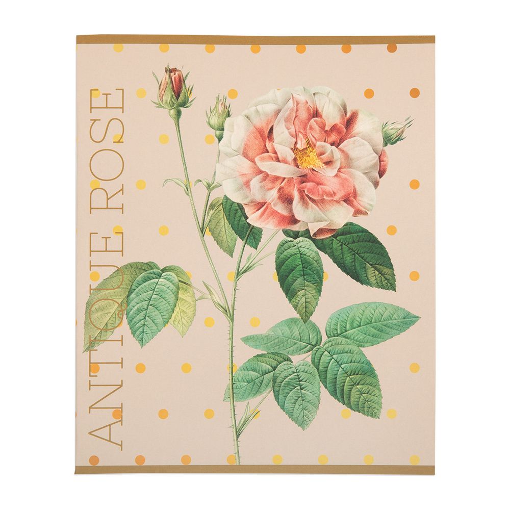 Тетрадь Цветы A5 48 л. на скобе 60 г/м², 10 шт, клетка, SVT 481421 01 бежевый, Светоч