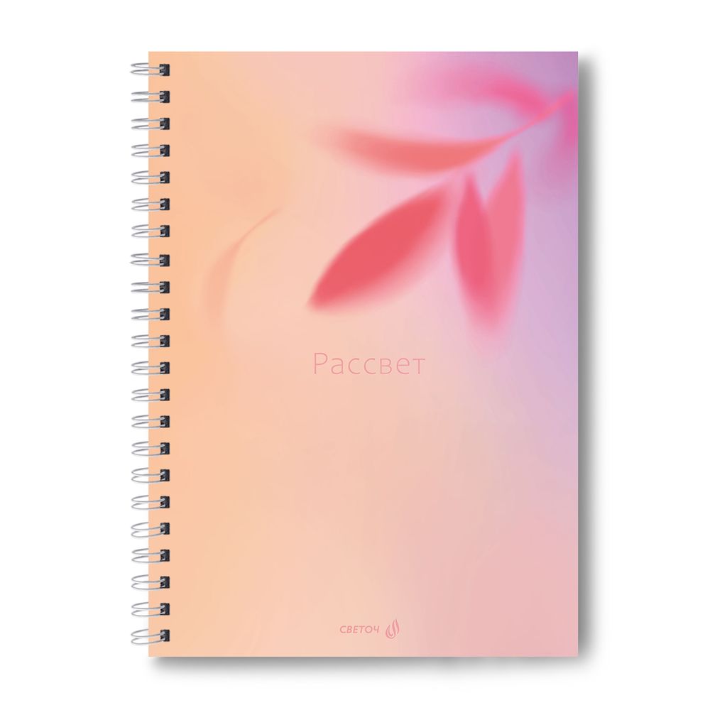 Тетрадь общая с твердой обложкой, матовая ламинация A4 80 л. на гребне 65 г/м², белизна 100% 2 шт клетка, 01571 Рассвет, Светоч Т217