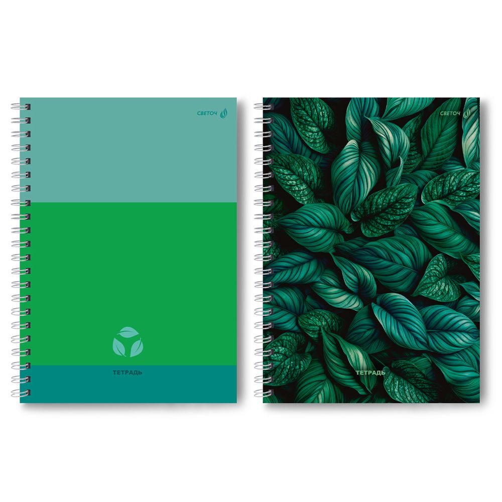 Тетрадь ученическая общая, A4 96 л. на гребне 65 г/м², белизна 100 %, 4 шт, клетка, 01247 Зелёный ковёр, Светоч Т129