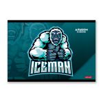 Альбом для рисования 100 г/м², A4 29х20.5 см, 16 л. на скобе, 10 шт, 000693 Выбери героя!, Светоч 16АЛСК4_1_3_9