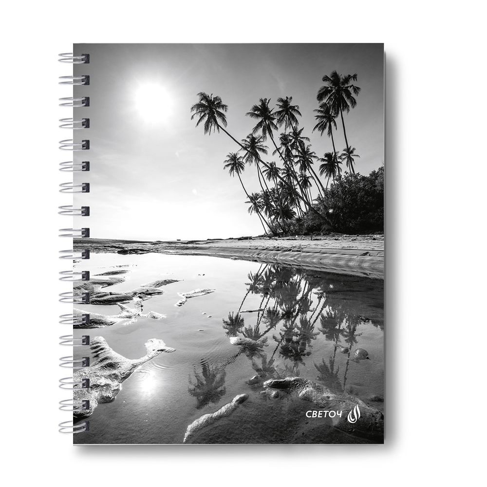 Тетрадь общая с твердой обложкой, матовая ламинация A5 96 л. на гребне 65 г/м², белизна 100% 4 шт клетка, 01558 Сквозь солнечные очки, Светоч Т213