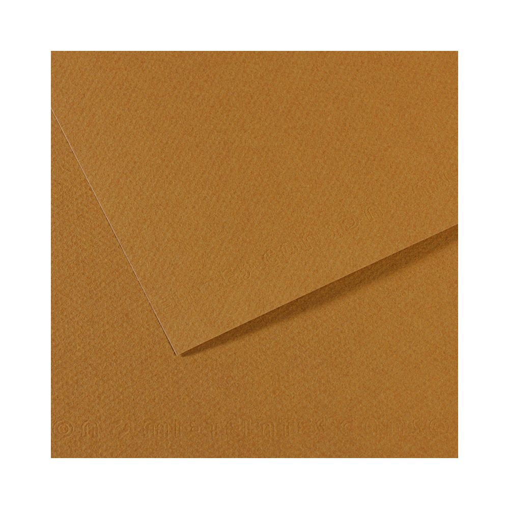 Бумага для пастели 160 г/м², 75х110 см, 25 листов, №336 коричневый песчаный, Canson Mi-Teintes C200321037