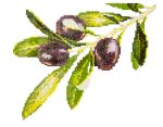 Алмазная (кристальная) мозаика Фрея, Веточка оливы, 40х25 см
