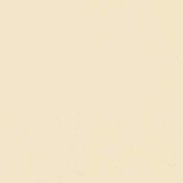 Бумага цветная 120 г/м², A4 21х29.7 см, 50 шт, 27 холодный кремовый/cool cream, Vista-Artista