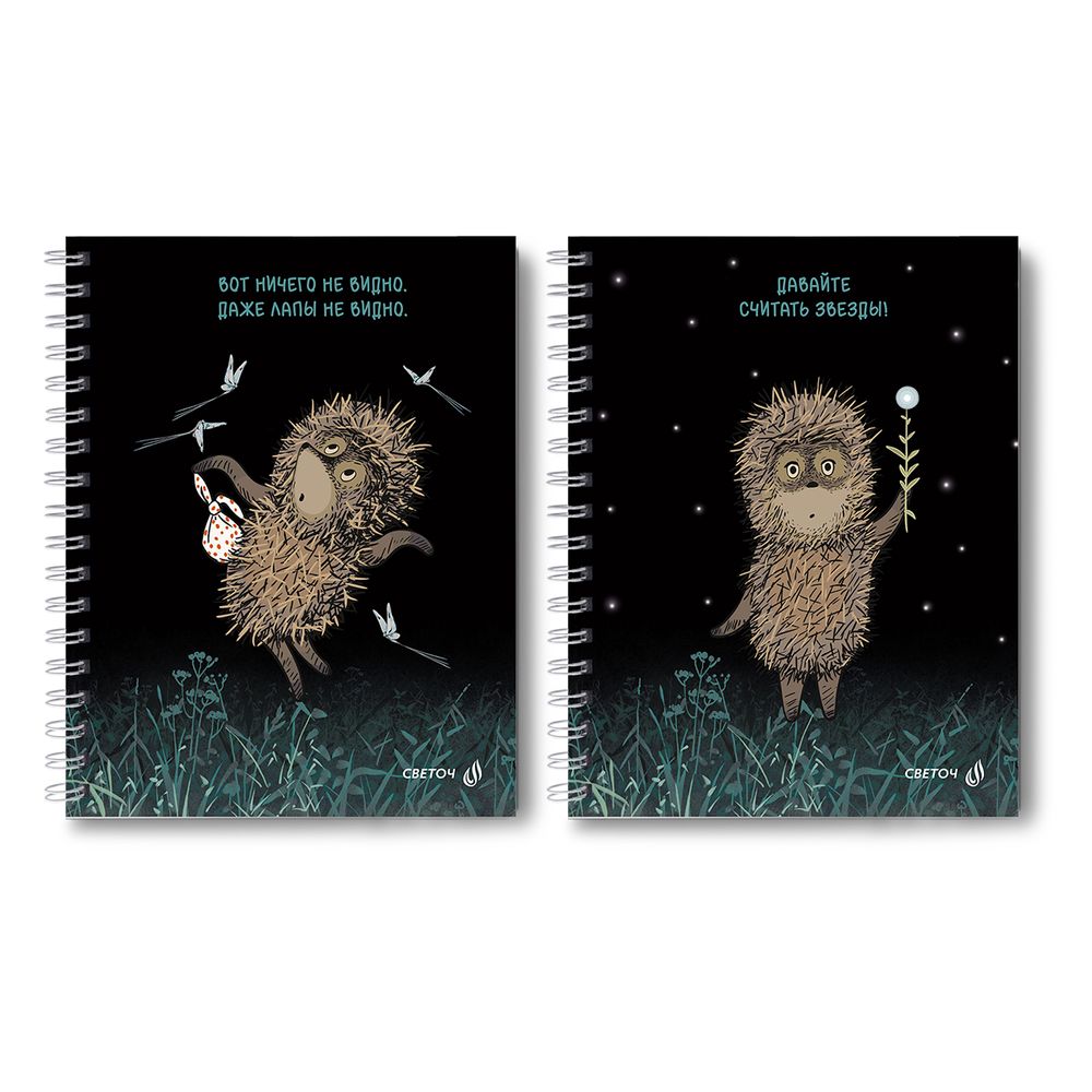 Тетрадь общая с твердой обложкой, матовая ламинация + выборочный лак, (лицензия) A5 80 л. на гребне 65 г/м², белизна 100% 4 шт клетка, 01561 Не теряйте ёжиков, Светоч Т227