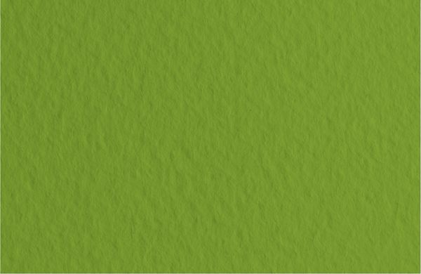 Бумага для пастели 160 г/м², 50х65 см, 10 листов, Pistacchio/Фисташковый, Fabriano