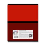 Тетрадь ученическая общая A5 60 л. на скобе 65 г/м², белизна 100% 10 шт клетка, 01517 Многоцветие, Светоч Т70