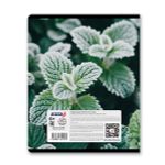 Тетрадь ученическая общая, глянцевая ламинация A5 48 л. на скобе 65 г/м², белизна 100% 10 шт клетка, 01503 Морозная свежесть, Светоч Т71