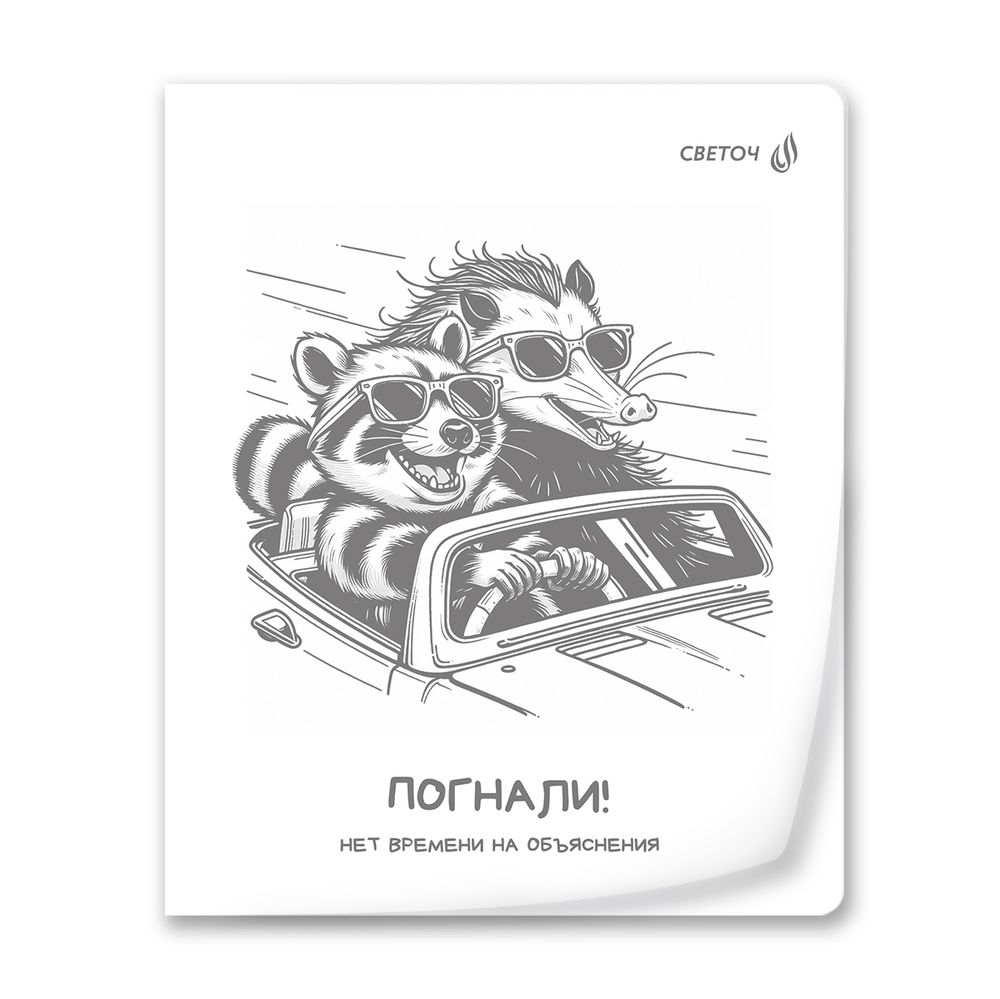 Тетрадь общая с пластик.обложкой 180 мкм, ч/б запечат. титульн.лист, A5 48 л. на скобе 65 г/м², белизна 100% 10 шт клетка, 01495 МИКС - Чёрно-белый мир, Светоч Т196