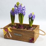 Заготовка деревянная Ящик с веревочными ручками, сосна, 15х25х9 см, ВД-484 Mr.Carving