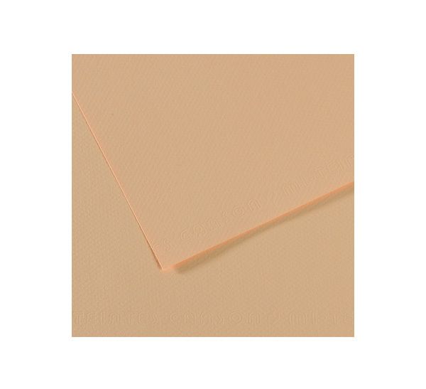 Бумага для пастели 160 г/м², 75х110 см, 25 листов, №350 золотисто-розовый, Canson Mi-Teintes C200321077