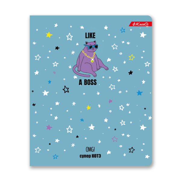 Тетрадь ученическая общая, матовая ламинация + выборочный УФ лак, A5+ 48 л. на скобе, белизна 100%, 10 шт, клетка, 000326 Суперкот, Светоч 48ТСК5_24_3_1