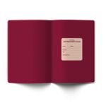 Тетрадь со справочным материалом Лёгким почерком, софт-тач ламинация, A5 48 л. на скобе 65 г/м², белизна 100% 10 шт, клетка, 01836 Лёгким почерком Английский язык, Светоч Т284