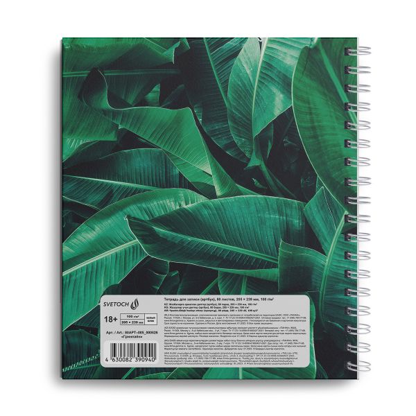 Артбук (Скетчбук), глянцевая ламинация, блок белый, 100 г/м², 23.9х20.5 см, на гребне 80 л., 2 шт, Гринлайн 000626, Светоч 80АРТ-005