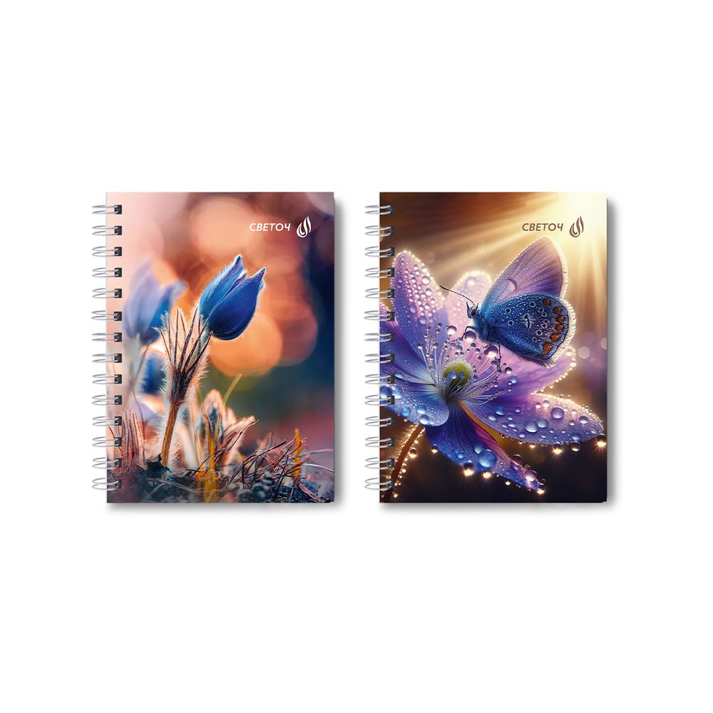 Записная книжка с твердым переплетом, глянцевая ламинация, на гребне A6 80 л. 4 шт клетка, Встреча на рассвете 01587, ЗК221 Светоч