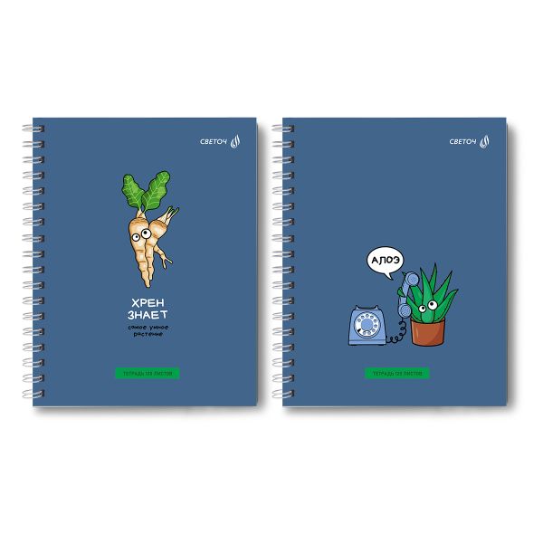 Тетрадь общая с твердой обложкой, матовая ламинация + выборочный лак A5 120 л. на гребне 65 г/м², белизна 100% 4 шт клетка, 01554 Алоэ, Светоч Т210