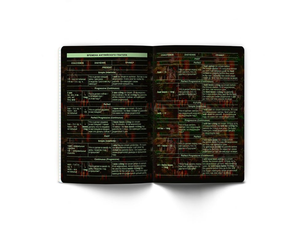 Тетрадь со справочным материалом Эволюция, глянцевая ламинация, A5+ 48 л. на скобе 65 г/м², белизна 100%, 10 шт, клетка, 00876 Английский язык, Светоч 48Т5