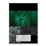 Тетрадь ученическая общая, твин лак, A4 80 л. на скобе 65 г/м², белизна 100%, 6 шт, клетка, 000456 Природный орнамент, Светоч 80ТСК4_8_2_1