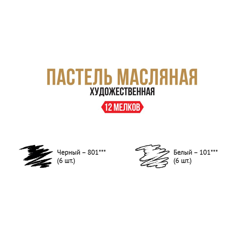 Пастель художественная масляная 12 шт, 02 черно-белый, (Limited Edition), Vista-Artista VAOPL-12M