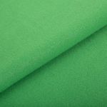 Флис 2-сторонний 160 см / 10 метров, зеленый/green, Gamma FG-005