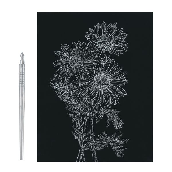 Набор для творчества Гравюра №61 Астры, 20х25.5 см, Hobbius SGHK