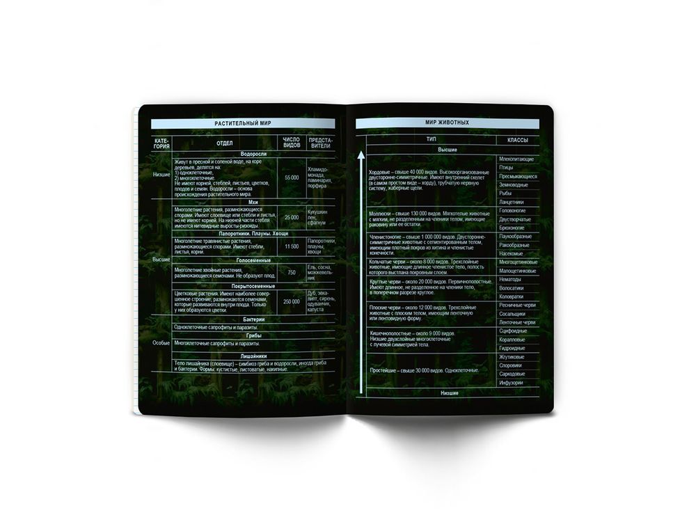 Тетрадь со справочным материалом Эволюция, глянцевая ламинация, A5+ 48 л. на скобе 65 г/м², белизна 100%, 10 шт, клетка, 00877 Биология, Светоч 48Т5