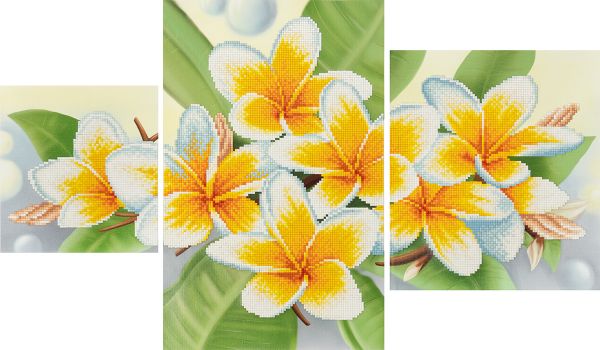Алмазная (кристальная) мозаика Фрея, Триптих. Плюмерия, 60х36 см