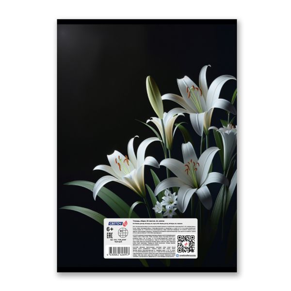 Тетрадь ученическая общая, A4 80 л. на скобе 65 г/м², белизна 100 %, 6 шт, клетка, 01347 Твой край, Светоч Т154