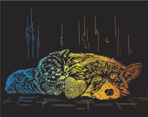 Набор для творчества Гравюра 20х25.5 см, №51 Сладкая парочка (мульти), Hobbius SGHK