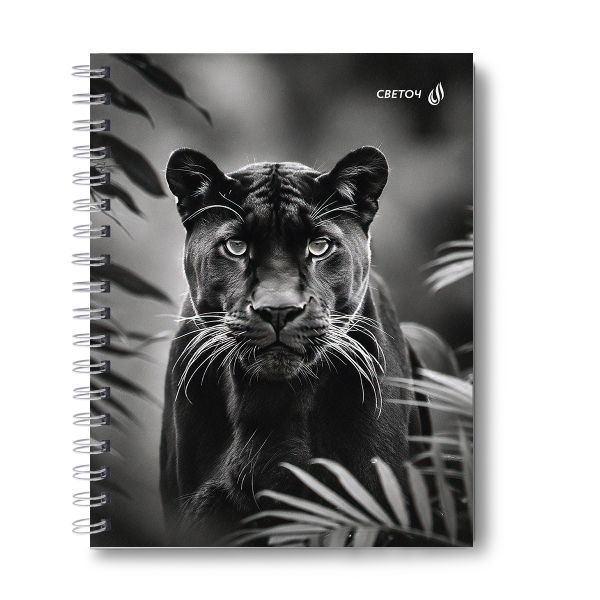 Тетрадь общая с твердой обложкой, матовая ламинация A5 120 л. на гребне 65 г/м², белизна 100% 4 шт клетка, 01553 Чёрная кошка, Светоч Т209